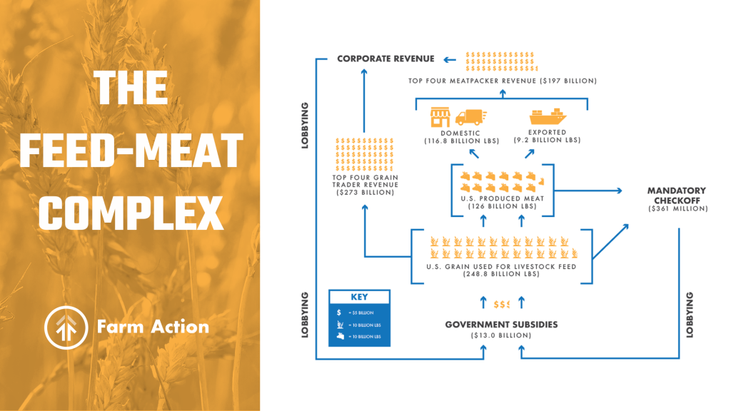 The FeedMeat Complex Unpacking the Truth About How Big Meat Pockets