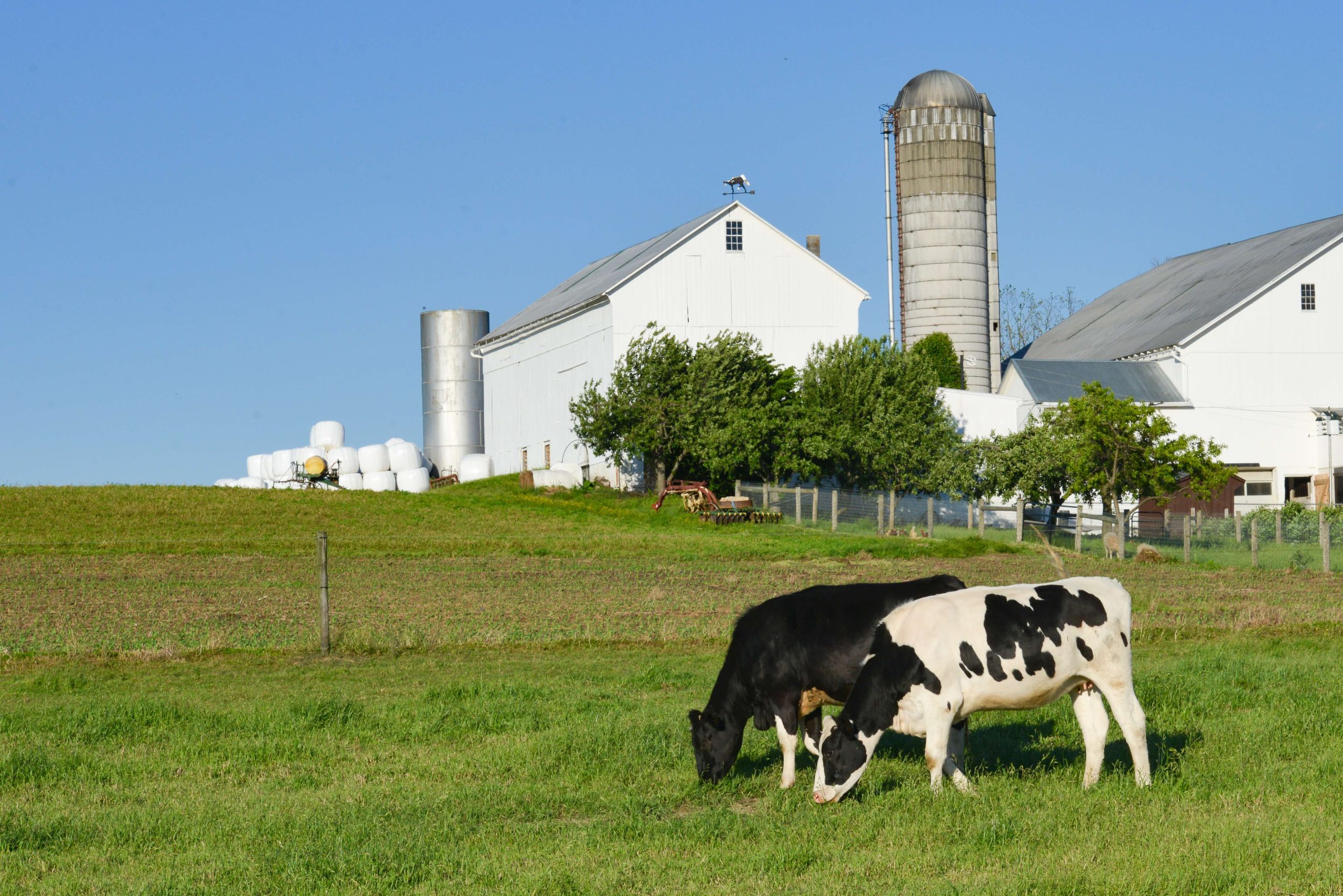 FTC’s Kroger-Albertsons Lawsuit A Win For Farmers, Too | Farm Action