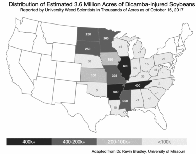 Dicamba Damage Raspberry Dicamba Drift Turned Neighbors Into Enemies. EPA Just Brought It Back ...