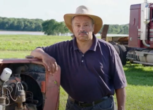 Webster Davis headshot